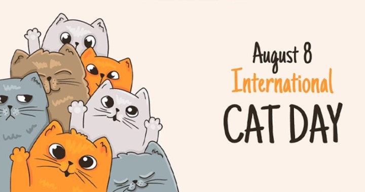 International Cat Day 202